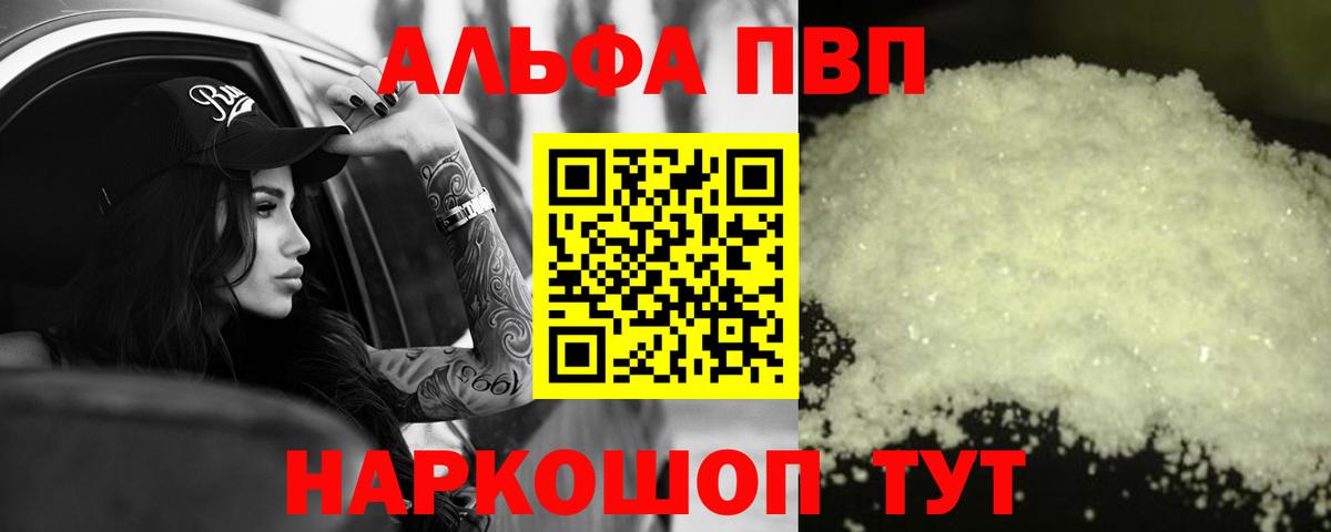 A PVP СК Новоалтайск