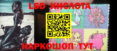 крисы Бийск