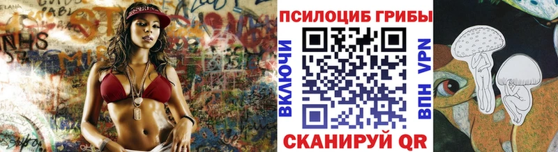 OMG tor  Новоалтайск  Галлюциногенные грибы GOLDEN TEACHER 