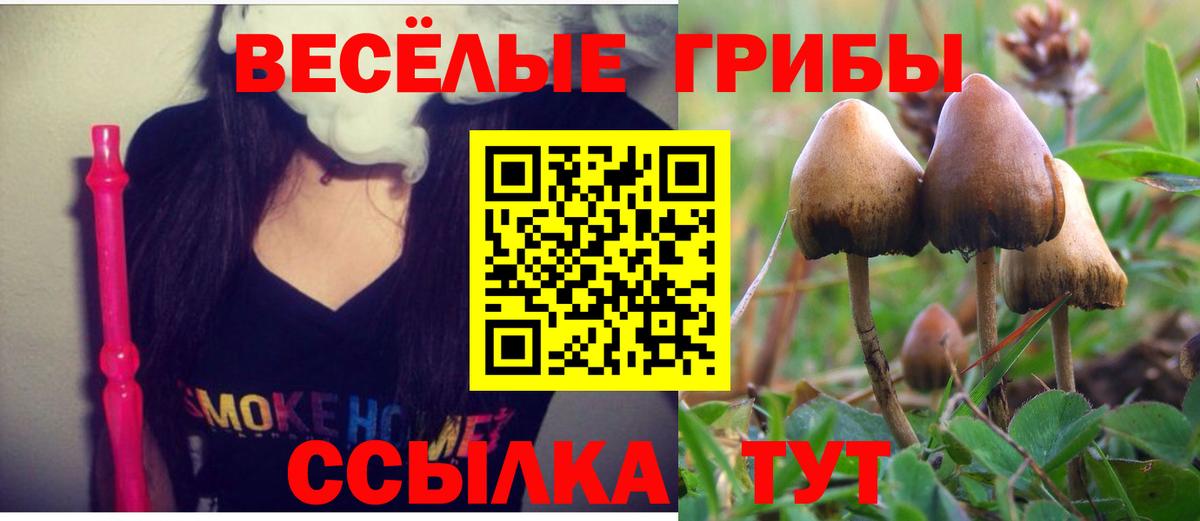 Новоалтайск  Галлюциногенные грибы Psilocybine cubensis  Вход с VPN 