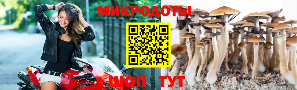 Галлюциногенные грибы Cubensis Новоалтайск